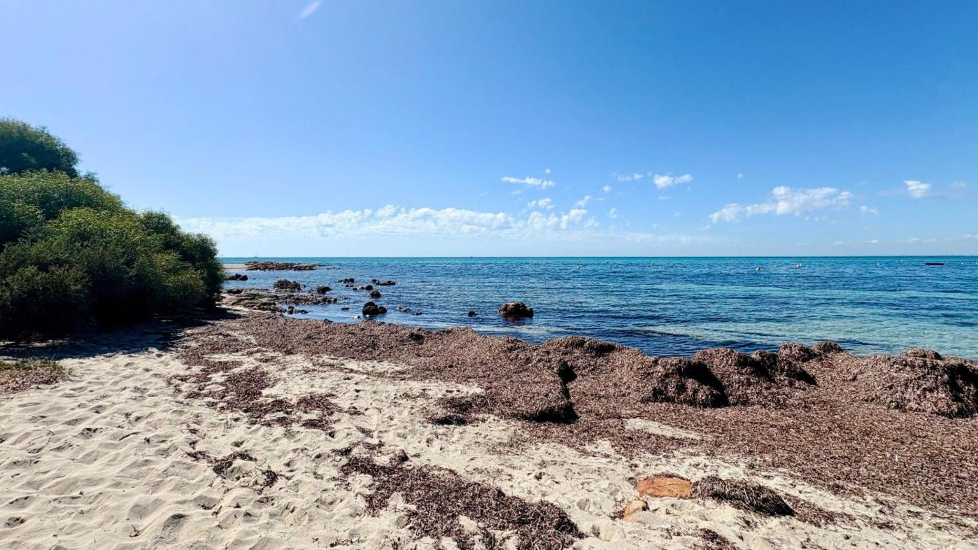 Serenity By The Sea Busselton Bagian luar foto